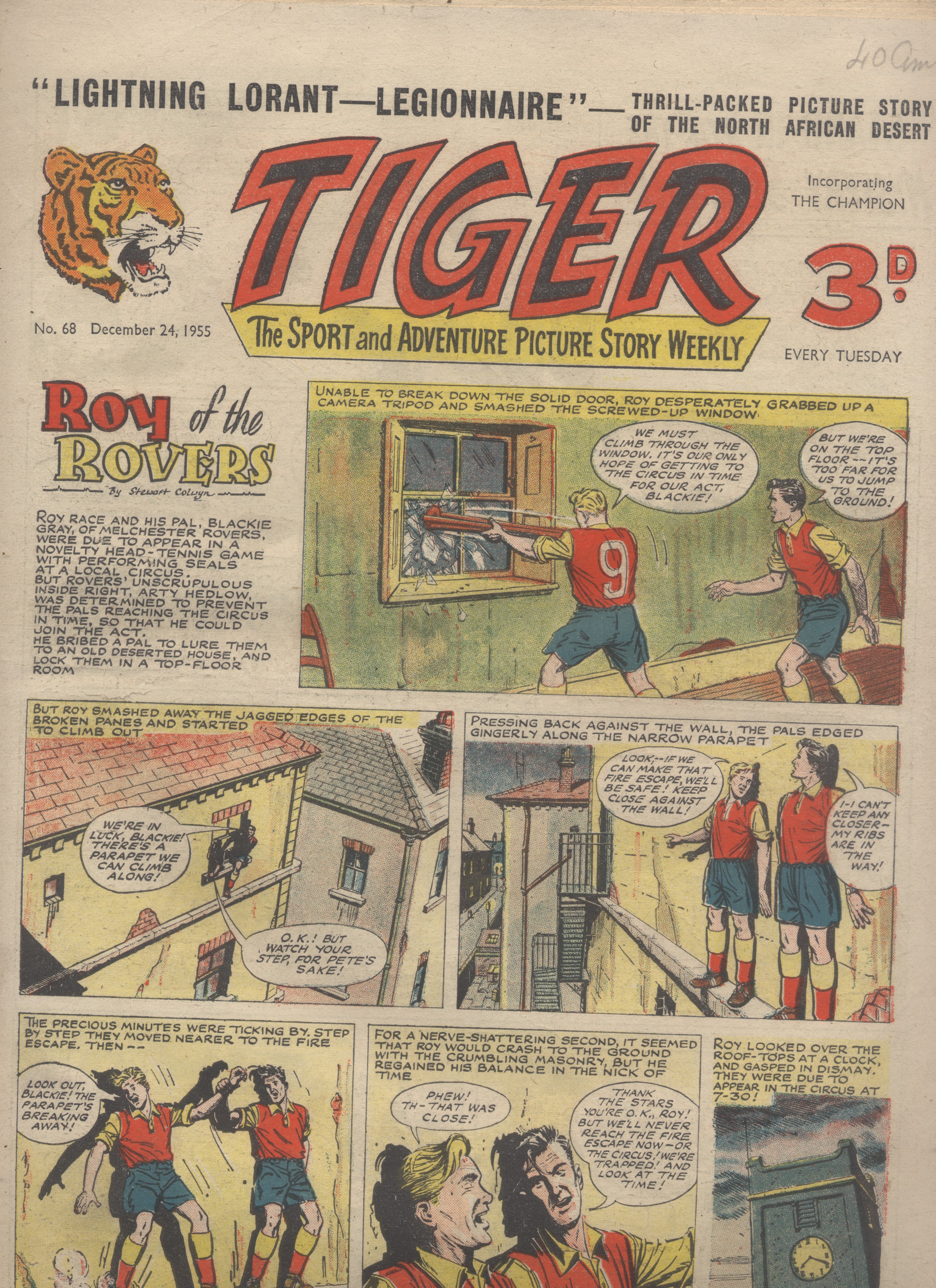 Tiger